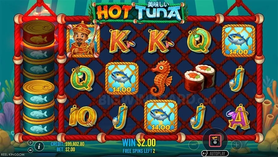 phlove Sports Betting Promotions